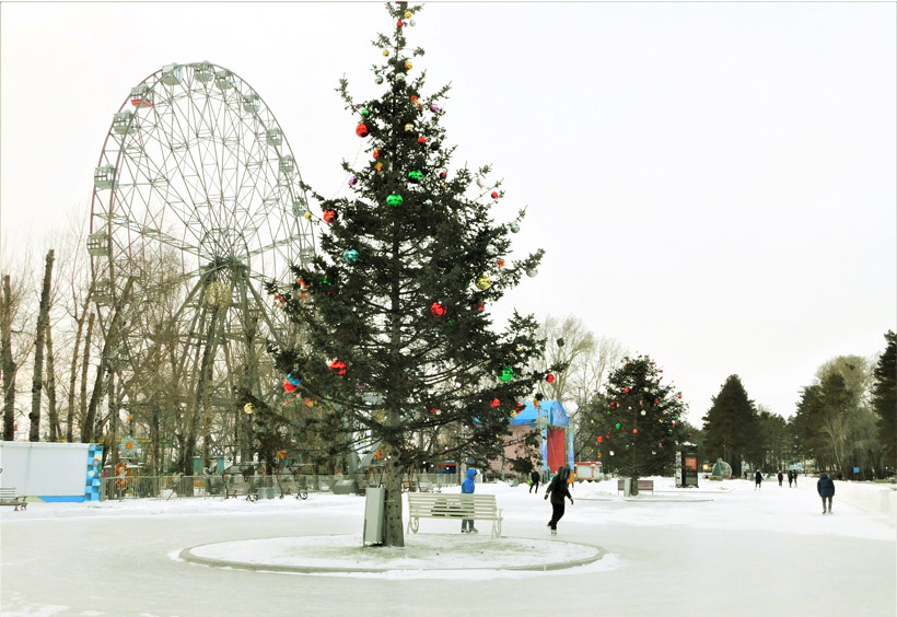 ハバロフスクでは、12月になると、市内のあちこちに野外アイススケートリンクがオープンします