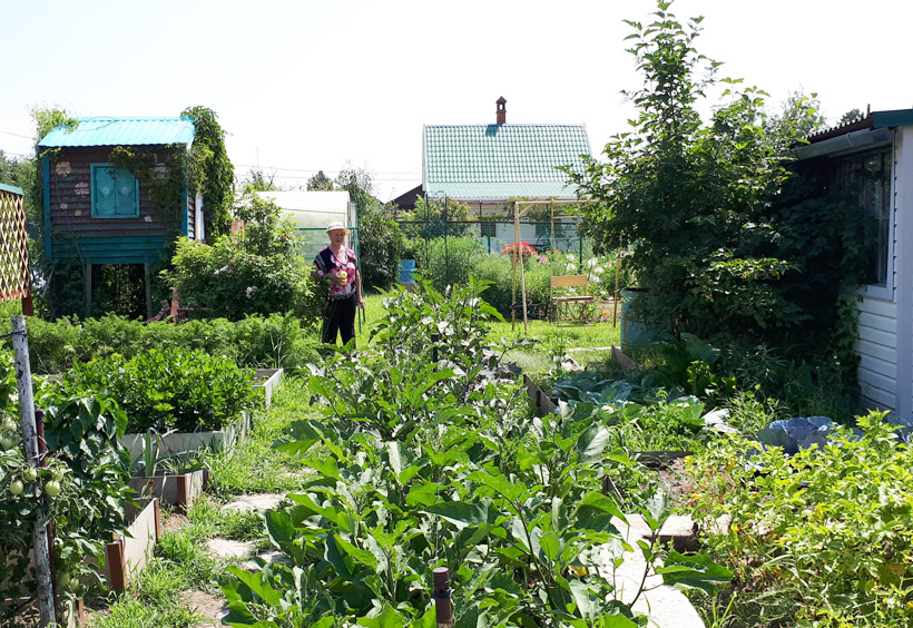 野菜や果物を育てている庭園