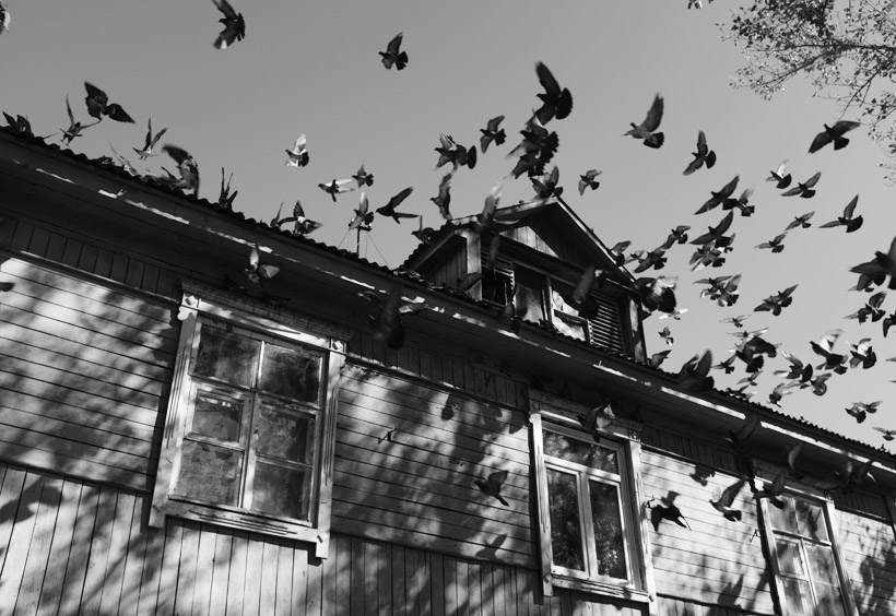 「鳩の棲家」の様相を呈するレーニン広場脇の建物屋根：アレクサンドロフスク・サハリンスキー